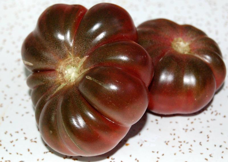 Purple Calabash Beefsteak tomato 20 seeds